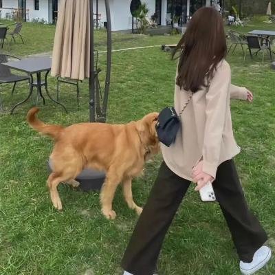 彩鸾春色